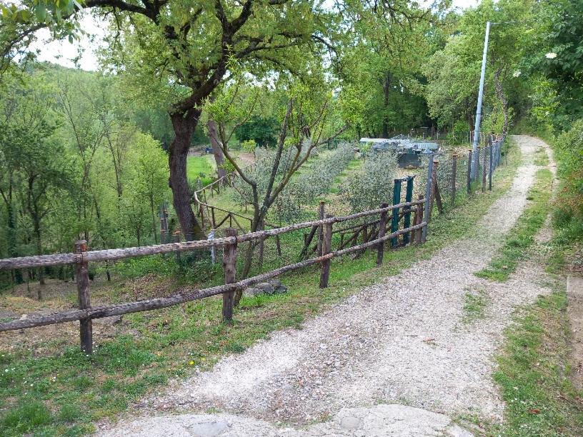 La Chimera Arezzo